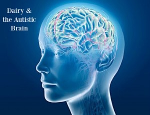 Dairy and the autistic brain crystal chester dietitian nutritionist